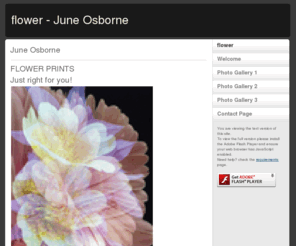 juneosborne.com: flower - June Osborne
Flower photography