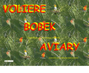 avibobek.com: Volière Bobek - Conures soleil, dorées, ventre écarlate, caiques, mustaches
Site d'information sur les besoins des peroques en captivité - nutrition, soins, comportement,information sur les espèces