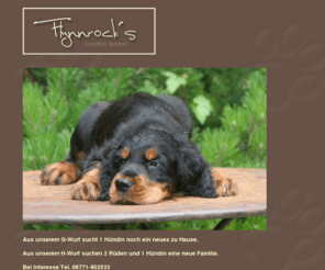 flynnrocks.com: Gordon Setter Züchter- Flynnrocks VDH/FCI Gordon Setter in Rheinland Pfalz
Gordon Setter Züchter  Flynnrocks VDH/FCI  Gordon Setter in Rheinland Pfalz.
Wesensfeste und leistungsfähige Gordon Setter Welpen.