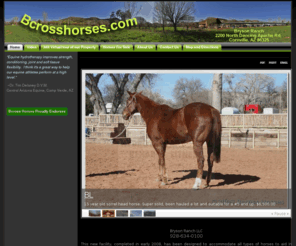 bcrosshorses.com: Bryson Ranch | Equine Hydrotherapy
This new facility has been designed to accommodate all types of horses to aid in therapeutic healing, strengthening, conditioning and training in a controlled environment