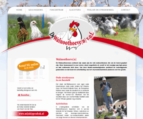 walnoothoeve.com: De Walnoothoeve[n] Pluimvee & Poeliers bedrijf - Hoeven
De belangrijkste activiteiten van de Walnoothoeve(n) beperken zich in eer-ste instantie tot het broeden, fokken, selecteren en slachten van bovenge-noemd pluimvee. Daarnaast vinden ver-koopactiviteiten plaats van jonge hennen en diverse streekproducten. 