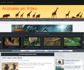 animalesenvideo.com: Animales en Video
Cientos de videos de animales de gran calidad