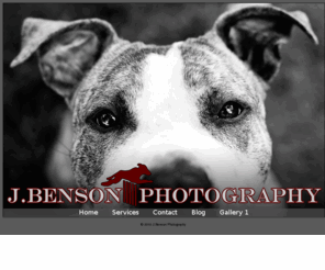 jbensonphotography.com: J.Benson Photography
Pet photography Dayton Ohio