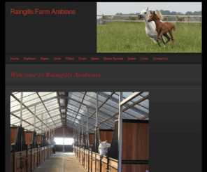 raingills-farm-arabians.com: Home - Raingills Farm Arabians
Breeding top quality arabian horses , arabian stallions available for stud to approved mares