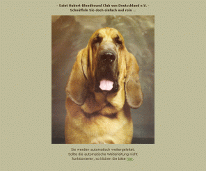 bloodhound-club.de: Saint Hubert-Bloodhound Club von Deutschland e.V.
