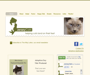 jerseycats.org: JerseyCats | Home
JerseyCats is a volunteer-based non-profit organization dedicated to improving the lives of homeless cats and kittens in New Jersey 