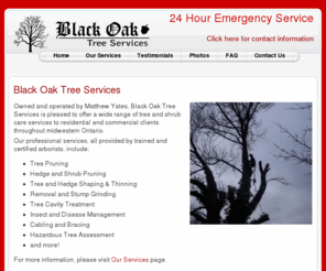 blackoaktreeservices.com: Black Oak Tree Services
Black Oak Tree Services