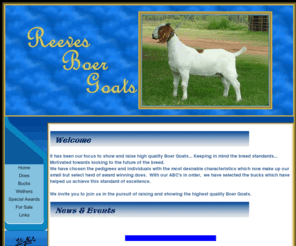 reevesboergoats.com: Reeves Boer Goats
Welcome to Reeves Boer Goats... A Family Endeavor, comprising the efforts and expertise of Tammie and Ashley Reeves and Sylvia McDaniel.  We are located in Lipan, Texas, on fifty acres of pasture and trees.