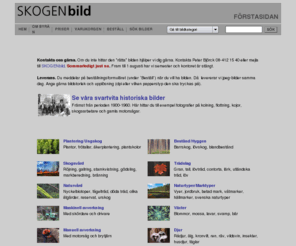 skogenbild.com: SKOGENbild
SKOGENbild. Nu har tidningen SKOGEN öppnat bildbyrå