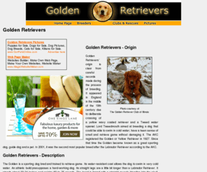 golden-retrievers-golden-retrievers.com: Golden Retrievers
Information on the history, breeders, rescues, and clubs, as well as Golden Retriever pictures and links.