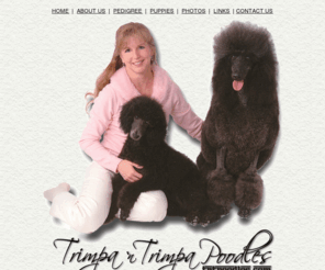 tntpoodles.com: Trimpa n Trimpa Poodles
Trimpa n Trimpa Poodles