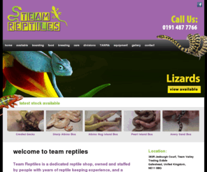 teamreptiles.com: Team Reptiles - Team Valley Gateshead
Team Reptiles is a dedicated reptile shop based in Team Valley Gateshead.