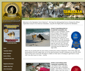 tamaskandog.com: The Tamaskan Club of America™ | Home | Puppies for Sale | Tamaskan
The Tamaskan Club of America™ is the Official Registration Body of the Tamaskan Wolfdog