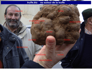 truffe.biz: truffe tuber melanosporum & lagotto
site sur la truffe, le lagotto romagnolo et les arbres truffiers ainsi que la réhabilitation du milieu naturel et la plantation,vente pour restaurant,club de trufficulteurs rabassiers ou caveur