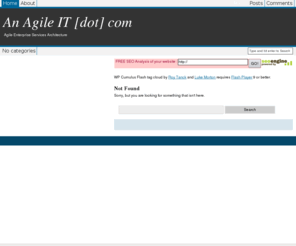 an-agile-it.com: Agile Enterprise Architecture
Resource for Enterprise Service Architecture