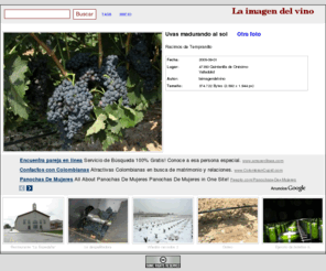 laimagendelvino.com: La imagen del vino
Imagenes sobre el mundo del vino: bodegas, viñedos, elaboración, consumo, crianza, labores, etc.