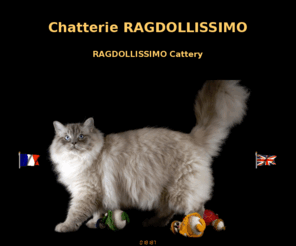 ragdollissimo.com: Chatterie Ragdollissimo
Bienvenue à la chatterie Ragdollissimo, petit élévage de Ragdoll de pure tradition.