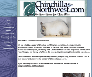 chinchillas-northwest.com: Chinchillas-Northwest.com
Find a Chinchilla from Chinchillas-Northwest