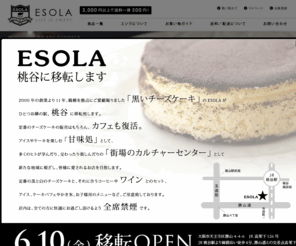 Cheesecake Esola Com 手作りチーズケーキの通販サイト Esola エソラ