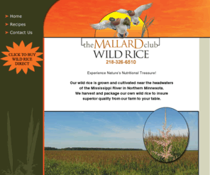 mallardclubwildrice.com: Wild Rice, Minnesota Wild Rice :: The Mallard Club Wild Rice
Our wild rice is grown and cultivated near the headwaters of the Mississippi River in Northern Minnesota. We harvest and package our own wild rice to insure superior quality from our farm to your table. 