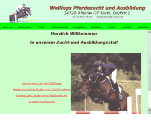 stallwelling.com: IIStall Welling KietzII,Springpferde
Pferde