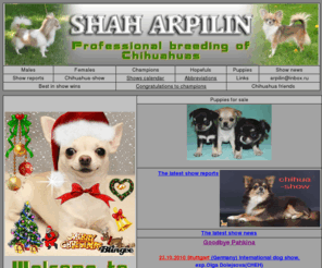 chihuahua.ru: Shah Arpilin, puppies for sale, russia, chihuahua, puppies, kennel
Питомник карманных собачек чихуахуа «Шах Арпилин» предлагает В разведении используются только титулованные шоу собаки из известных питомников мира