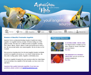 aquariumhub.com: Aquarium Hub - a ZTMC company
Aquarium Hub - a ZTMC company