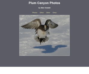 plumcanyonphotos.com: Plum Canyon Photos
oswald