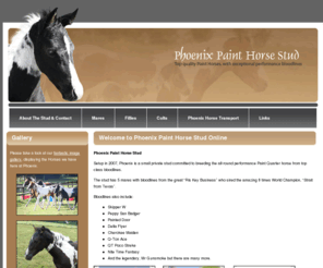 phoenixpainthorsestud.co.uk: Phoenix Paint Horse Stud - Horse Boxes, Horse Transport, Horse Moving
Horse Boxes, Horse Transport, Horse Moving