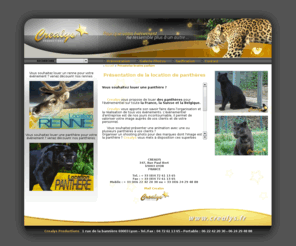 location-panthere.fr: Louer des panthères avec CREALYS. Location d'animaux exotiques pour des mariages, soir?es sur la France, la Suisse et la Belgique - ?v?nementiel - animal - location - panth?re - photo
Location de panthère - Louez notre panthère pour votre événement, marketing, lancement de produit. Crealys