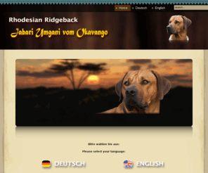 umgani.info: Sprachauswahl / Language selection
Jabari Umgani vom Okavango, ein urspruenglicher, suedafrikanischer Rhodesian Ridgeback Rüde. /  Jabari Umgani vom Okavango, an original South African Rhodesian Ridgeback male dog.