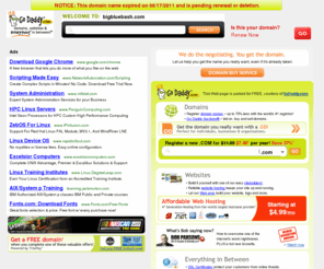 bigbluebash.com: Big Blue Bash
Big Blue Bash - 