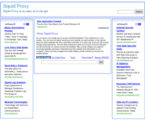 proxysquid.net: Proxy US
US Proxy is a free web proxy site