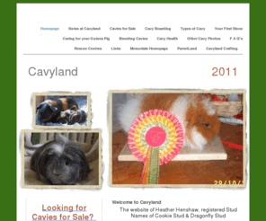 cavyland.org.uk: 
