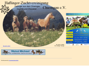 haflinger-chiemgau.de: Haflinger, Haflinger-Zuchtvereinigung Chiemgau e.V.
Bayern, Haflinger, Haflinger-Zuchtvereinigung Chiemgau e.V.