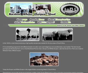 kasteelwhitedorpers.com: Kasteel Whitedorper Stud - Homepage
Kasteel White Dorper Stud - Loxton - South Africa - Exceptional white dorpers by Dries Wiese