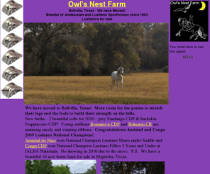 owlsnestfarm.com: Owl's Nest Farm Andalusian and Lusitano Horse Sales and breeding
Andalusian and Lusitano breeding farm with Brilloso and Rumbero stallions standing at stud, foals for sale, dressage riding horses for sale.  Horses to Grand Prix level dressage.  Introducing breeding stallions buckskin Bossanova and chestnut Bohemio by Paragrafo.