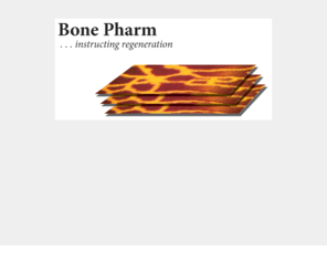 bonepharm.com: BonePharm . . . instructing regeneration
BonePharm defines and specifies matrices for accentuating tissue regeneration.