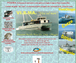 vismamolluschi.com: index-visma
