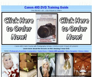canon40ddvd.com: Canon 40D 40 D DVD Video Training Guide | Buy it now online! 
Home of the now Famous Canon 40D Crash Course Training Guide by Michael Andrew. This DVD is made especially for beginners and will help you to take great images in no time!