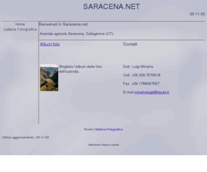 saracena.net: SARACENA.NET
