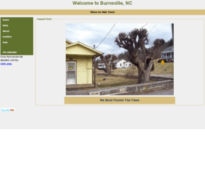 welcometoburnsville.com: Welcome to Burnsville, NC
A Site Dedicated to Trees in Burnsville, NC