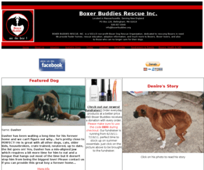 boxerbuddies.org: Boxer Buddies Rescue Inc.
