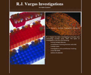 rjvargasinvestigations.com: Home
Professional Service