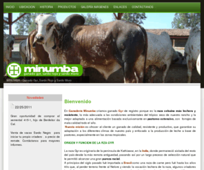 minumba.com: MINUMBA - Criadores de Cebu,Criadores de Ganado, Sementales Gyr, Criadores de Cebu en México
