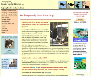 nebcr.org: New England Border Collie Rescue
