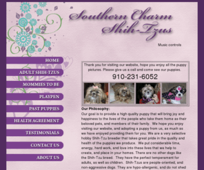 southerncharmshih-tzus.com: Souther Charm Shih Tzus - Welcome
