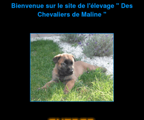 deschevaliersdemaline.com: Elevage Berger Belge Malinois
Mon site sur les chiens en particuliers sur les bergers belge malinois