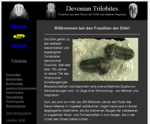 devonian-trilobites.de: DEVONIAN TRILOBITES
DEVONIAN TRILOBITES - Fossilien aus dem devon der Eifel und anderer Regionen