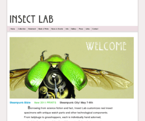 insectlabstudio.com: Mike Libby - Insect Lab
Mike Libby - Insect Lab